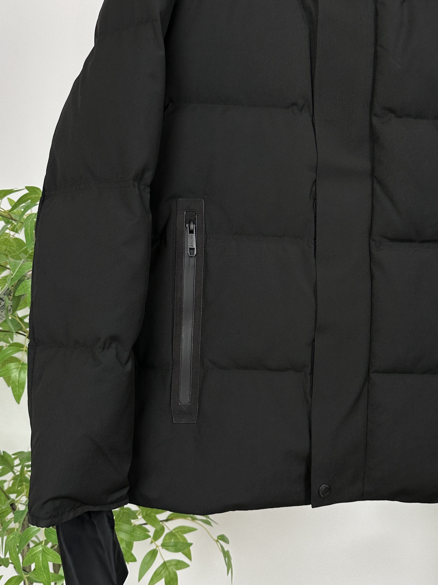 Zegna Down Jackets